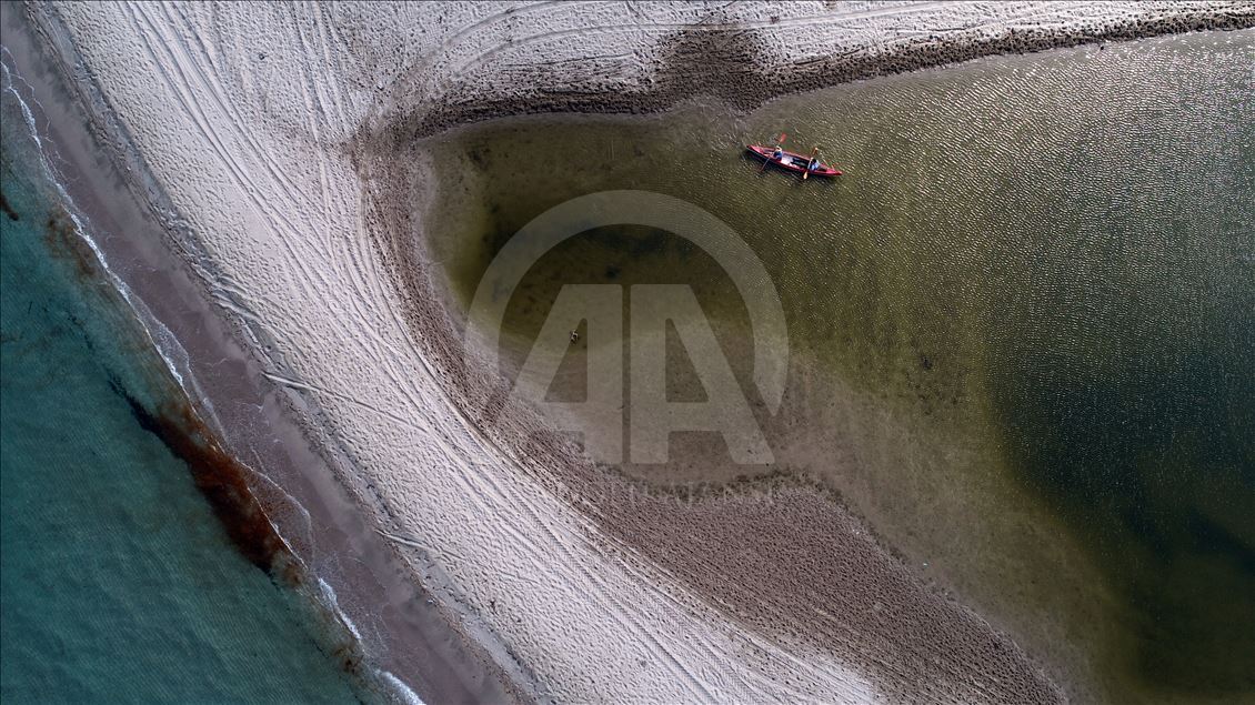 İğneada Longoz Ormanları'nda görsel şölen
