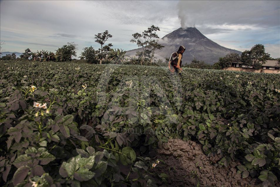 Erupción del monte Sinabung en Indonesia