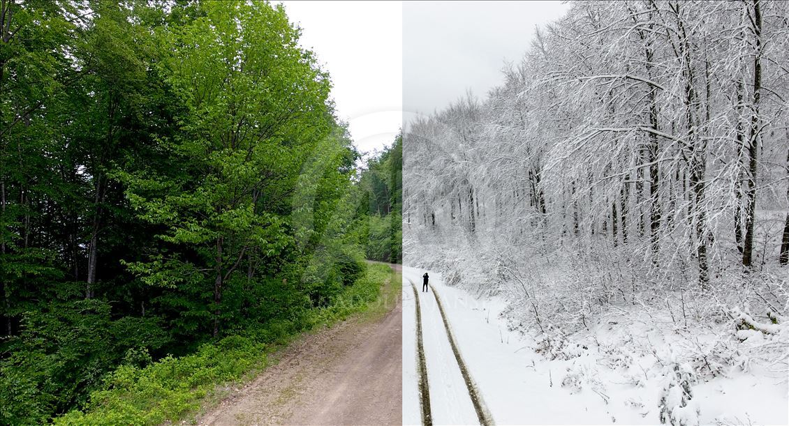 Fotoreporteri AA snimili krajolike Turske kroz različita godišnja doba 