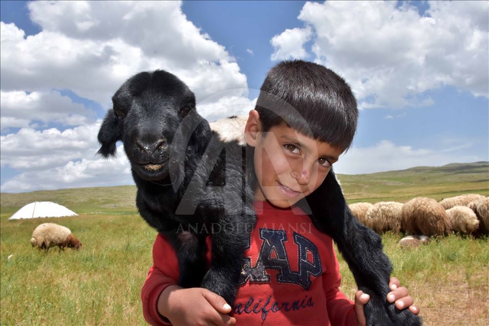 Muş Ovası'ndaki göçerlerin renkli yaşamı