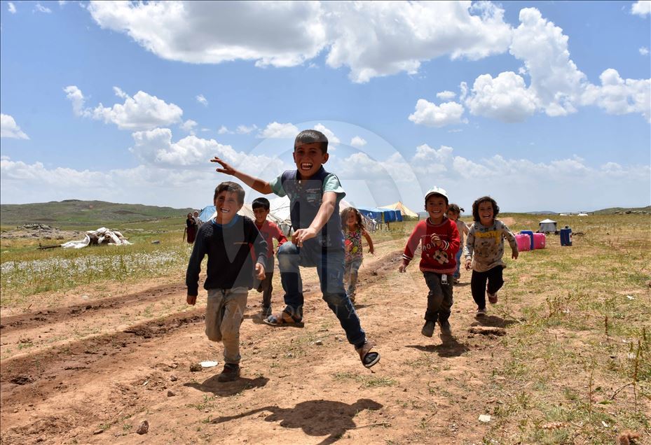 Muş Ovası'ndaki göçerlerin renkli yaşamı