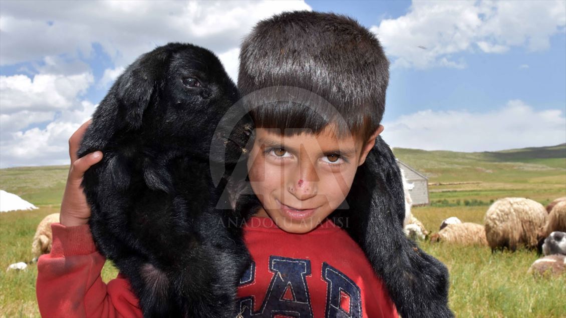 Muş Ovası'ndaki göçerlerin renkli yaşamı