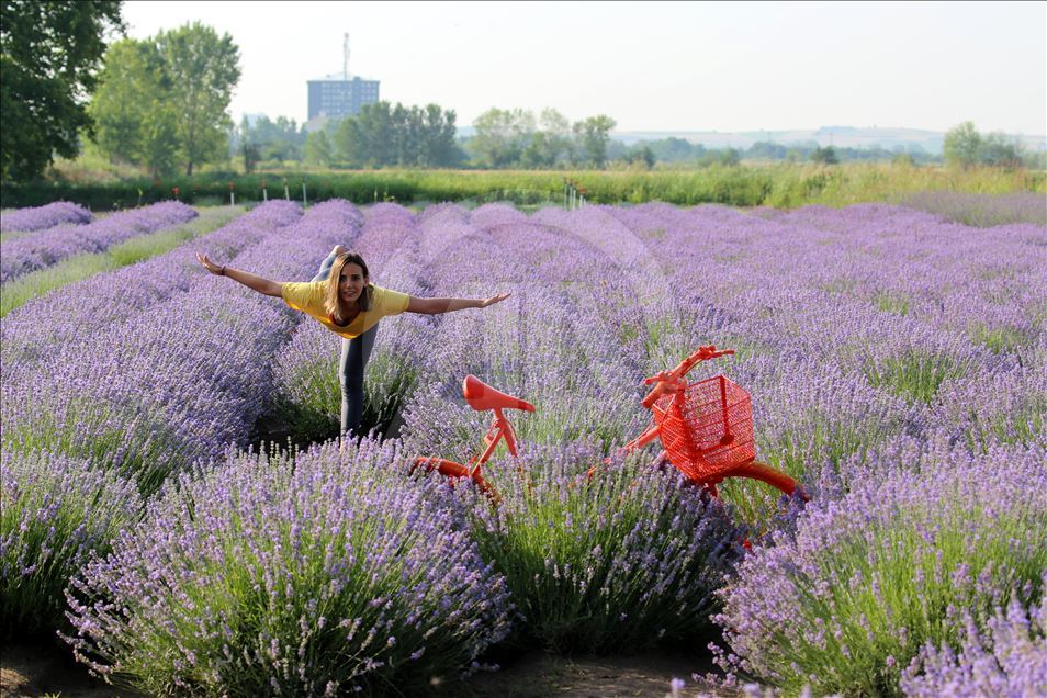 Önce lavanta tarlasında yoga sonra mesai