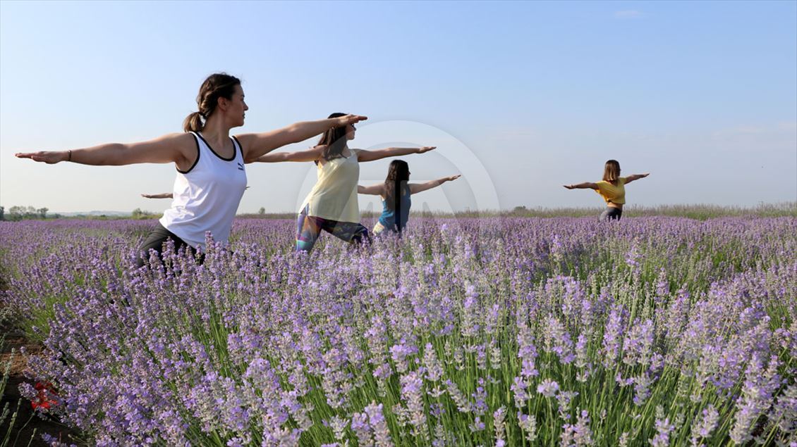 Önce lavanta tarlasında yoga sonra mesai