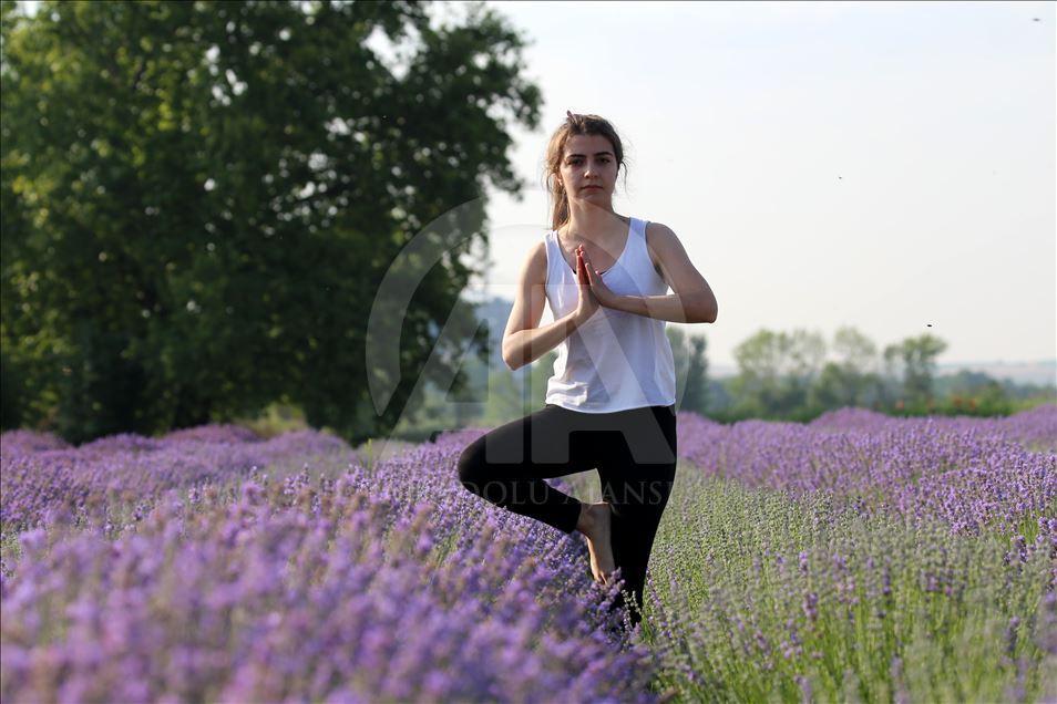 Önce lavanta tarlasında yoga sonra mesai