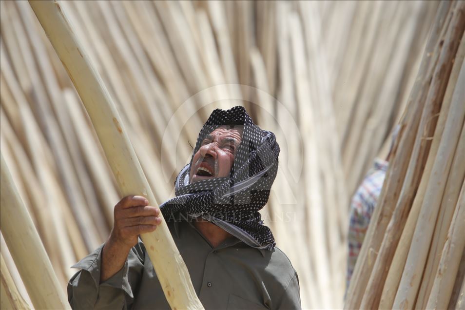 Irak'ta odun pazarı