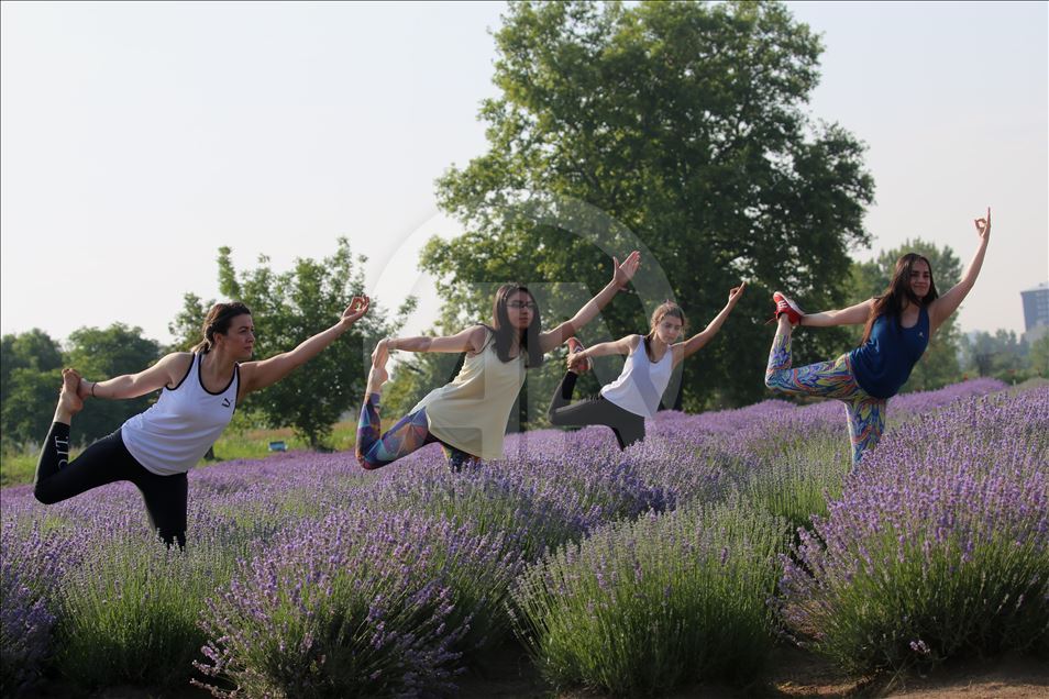 Önce lavanta tarlasında yoga sonra mesai