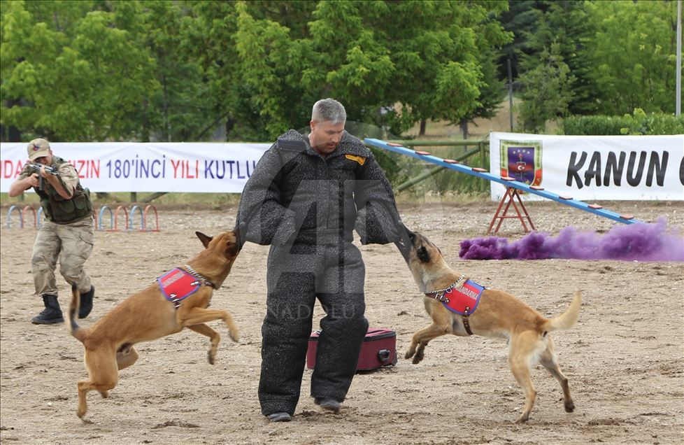 Jandarma Teşkilatı'nın 180. kuruluş yıl dönümü