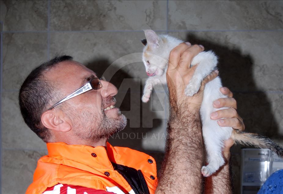 عامل ببلدية إسطنبول ينقذ قطة من الغرق بالتنفس الاصطناعي
