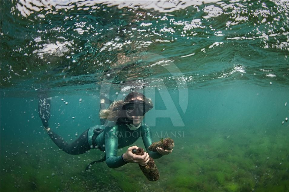 Underwater cleaning in the Bosphorus within the Zero Waste Blue Project
