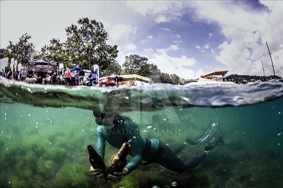 Underwater cleaning in the Bosphorus within the Zero Waste Blue Project