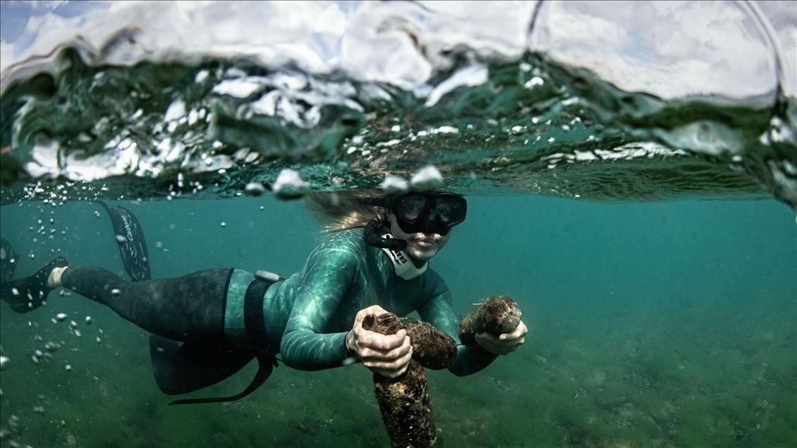 Underwater cleaning in the Bosphorus within the Zero Waste Blue Project