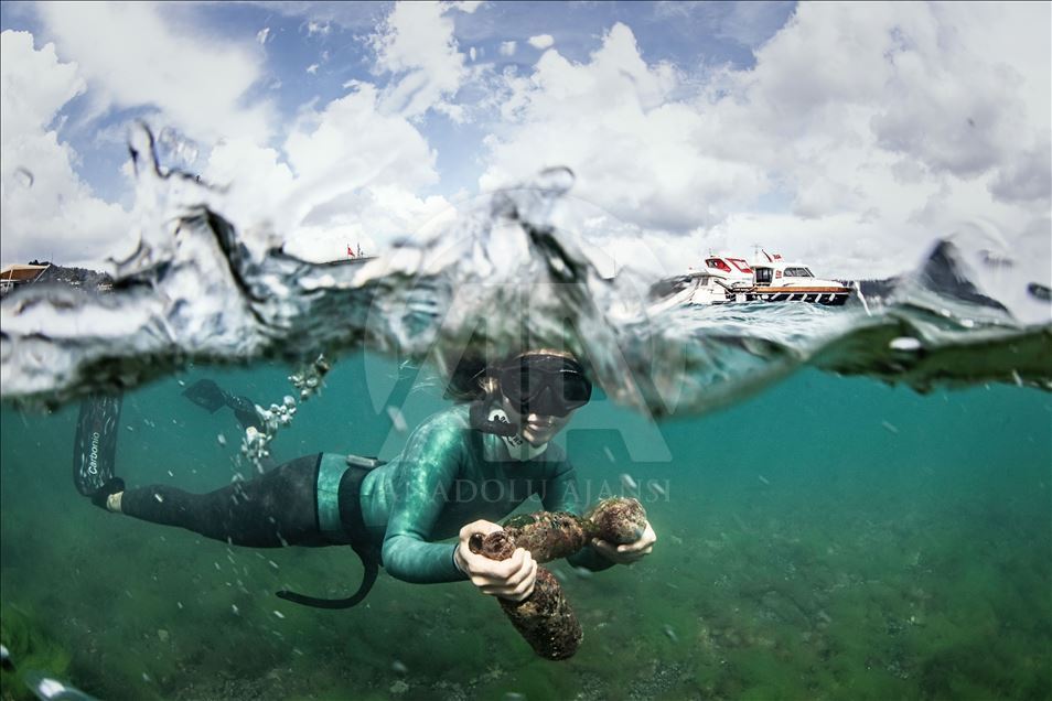 Underwater cleaning in the Bosphorus within the Zero Waste Blue Project