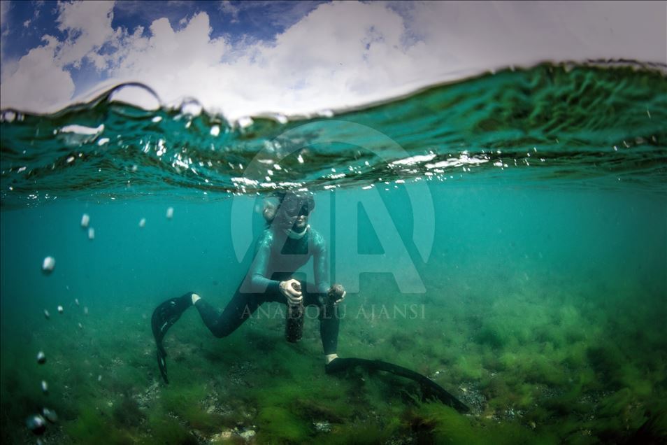 Underwater cleaning in the Bosphorus within the Zero Waste Blue Project