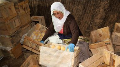 Limon fiyatlarına depoda 'çürüme' etkisi