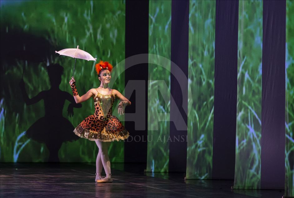'Pinocchio' meets with the audience at ballet stage