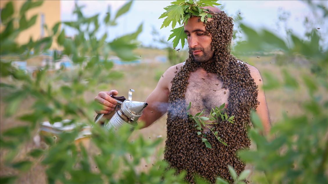 'Bee Man' aims for Guinness 