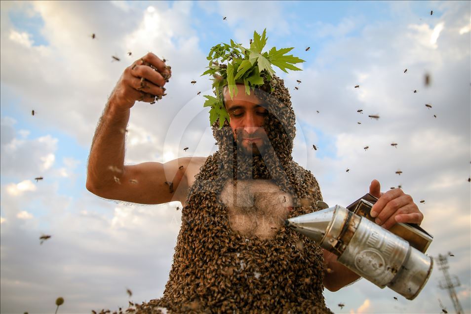 'Bee Man' aims for Guinness 
