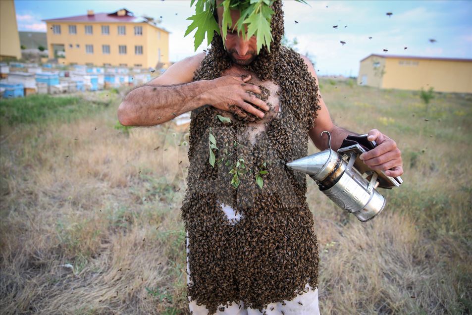 'Hombre abeja' turco busca romper un Récord Guinness