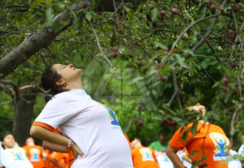 'International Day of Yoga' event in Ankara