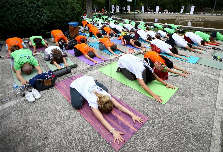 'International Day of Yoga' event in Ankara