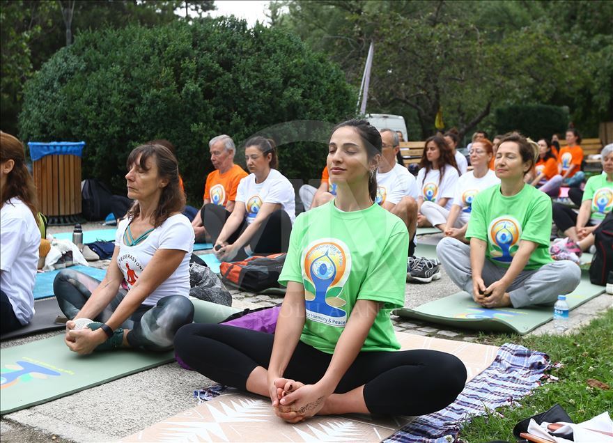 'International Day of Yoga' event in Ankara