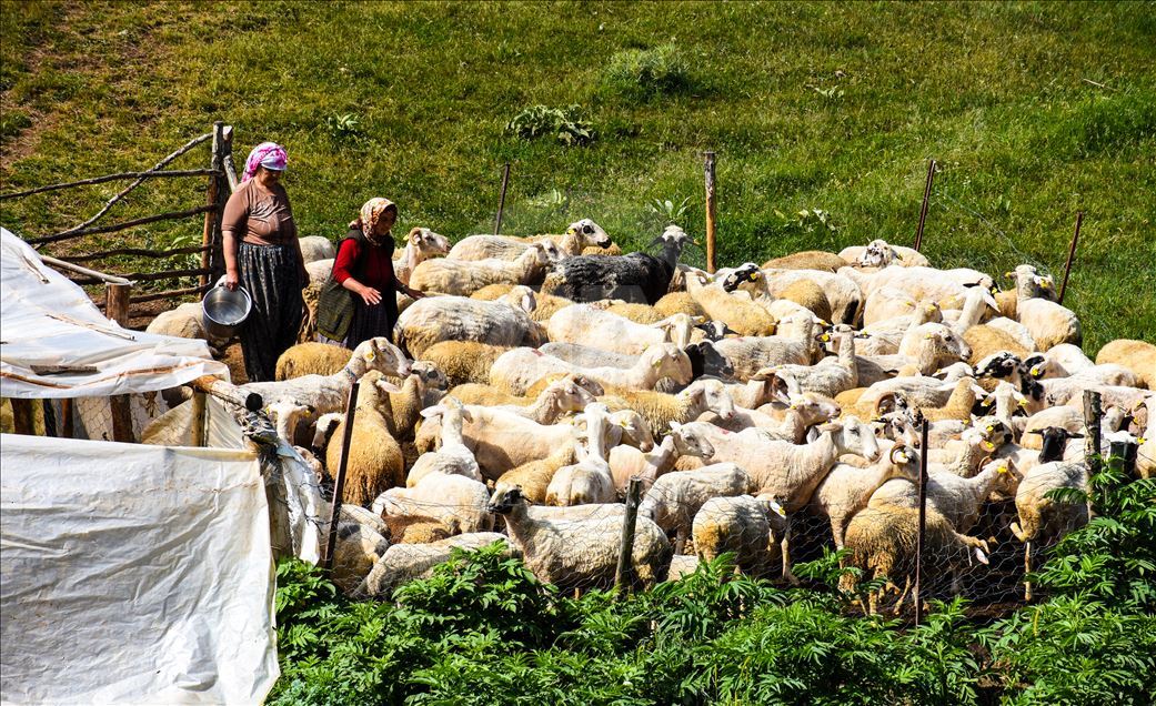 کوچ بهاره روستاییان اسپارتای ترکیه