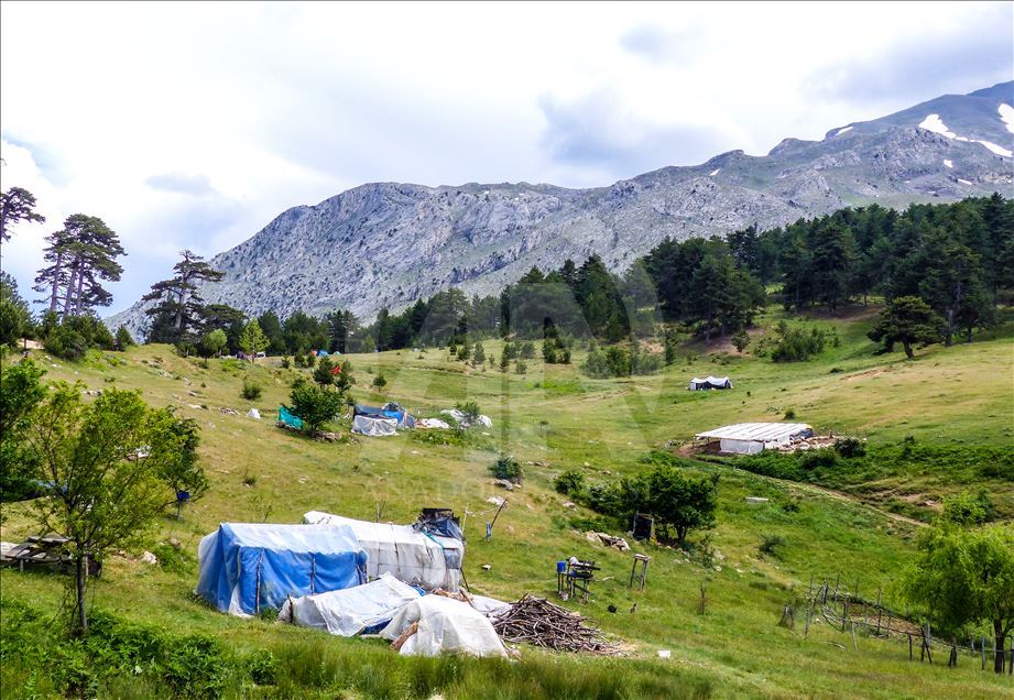 کوچ بهاره روستاییان اسپارتای ترکیه