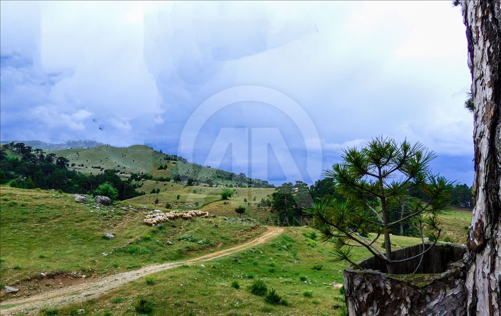 کوچ بهاره روستاییان اسپارتای ترکیه