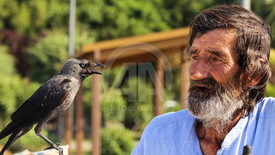 Çay tezgahında 'karga'yla servis ilgi odağı oldu