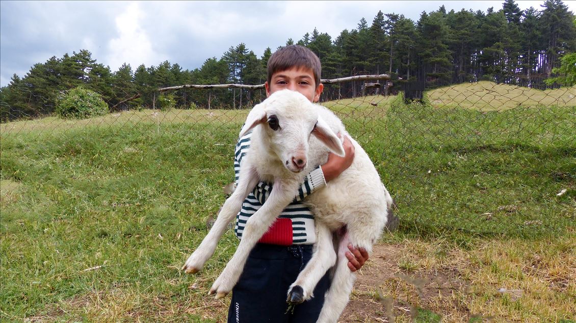 کوچ بهاره روستاییان اسپارتای ترکیه