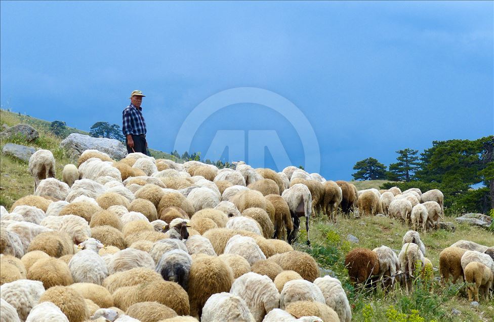 کوچ بهاره روستاییان اسپارتای ترکیه