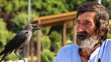 Çay tezgahında 'karga'yla servis ilgi odağı oldu