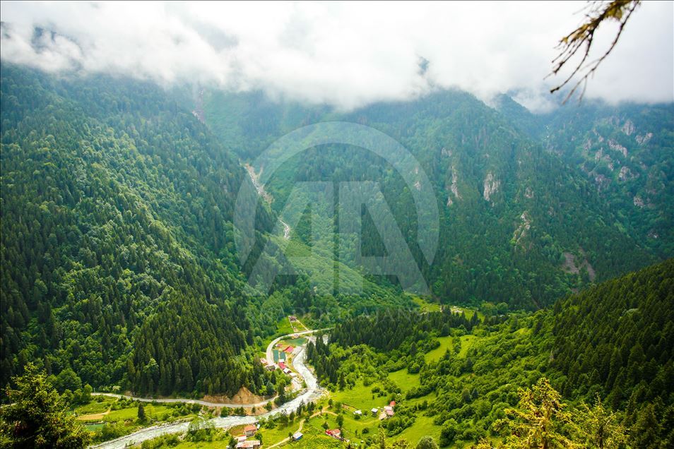 Natural Beauties of Turkey's Rize