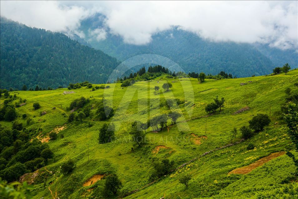 Natural Beauties of Turkey's Rize