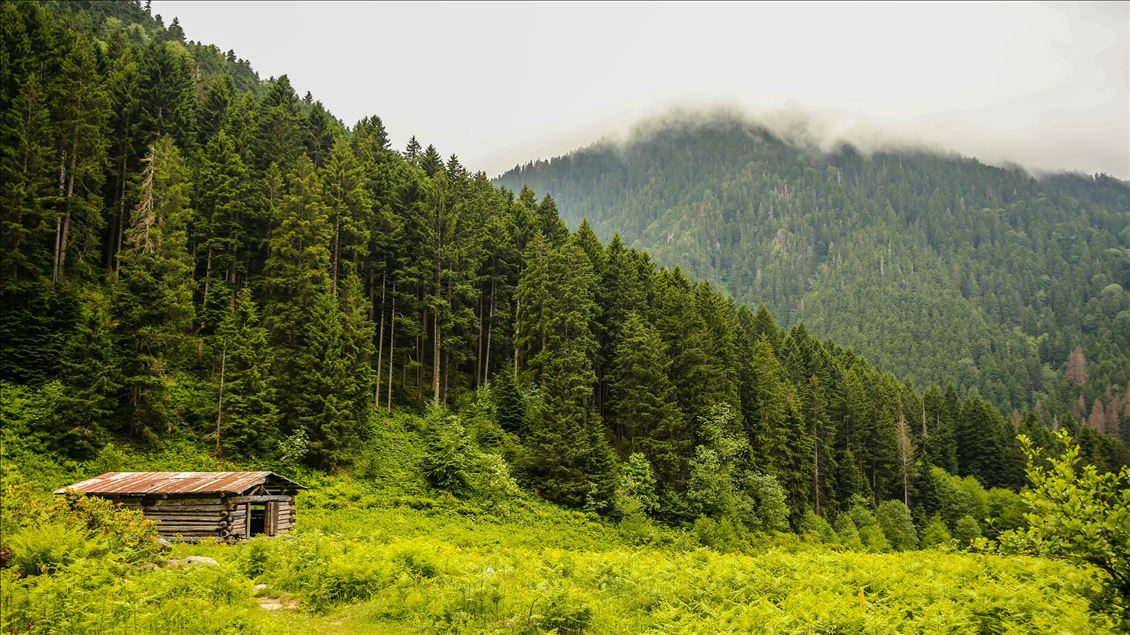 Natural Beauties of Turkey's Rize