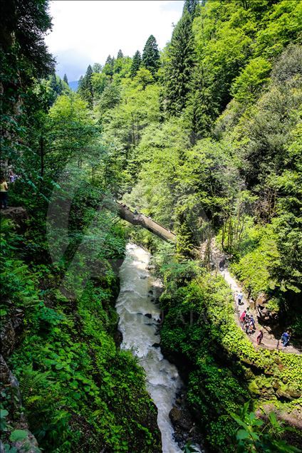 Natural Beauties of Turkey's Rize