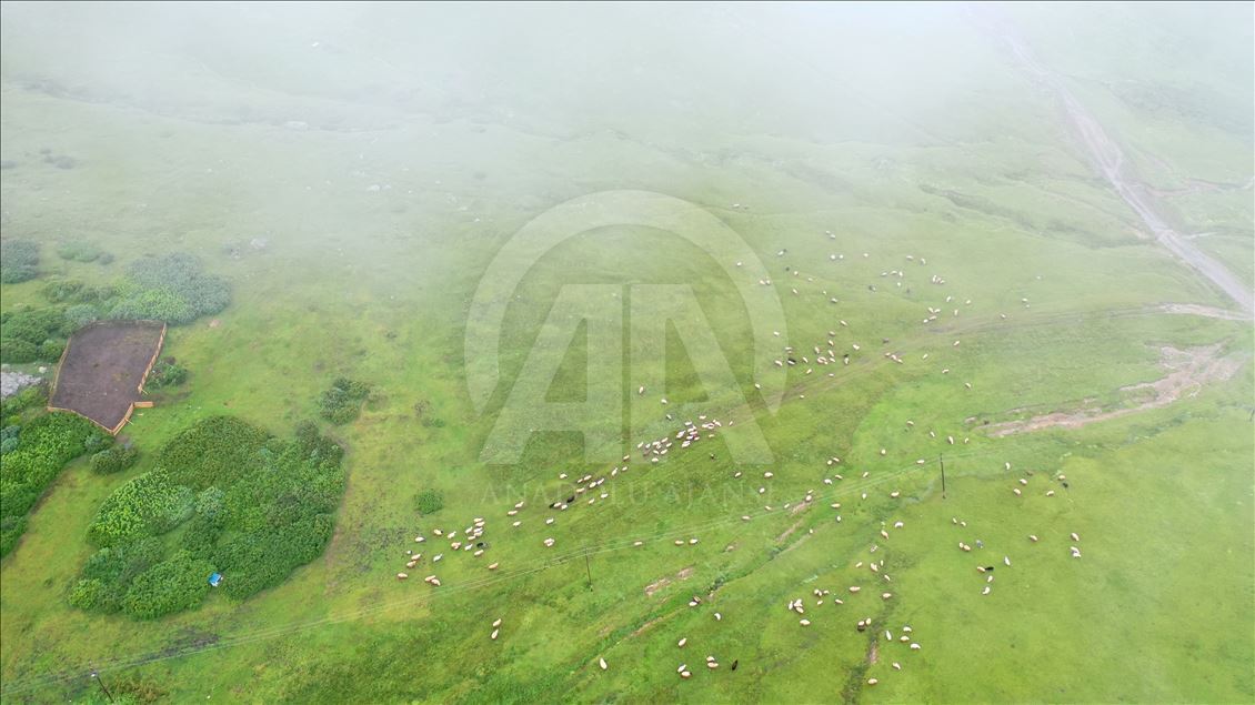 Haçka Yaylası, doğa tutkunlarını ağırlıyor
