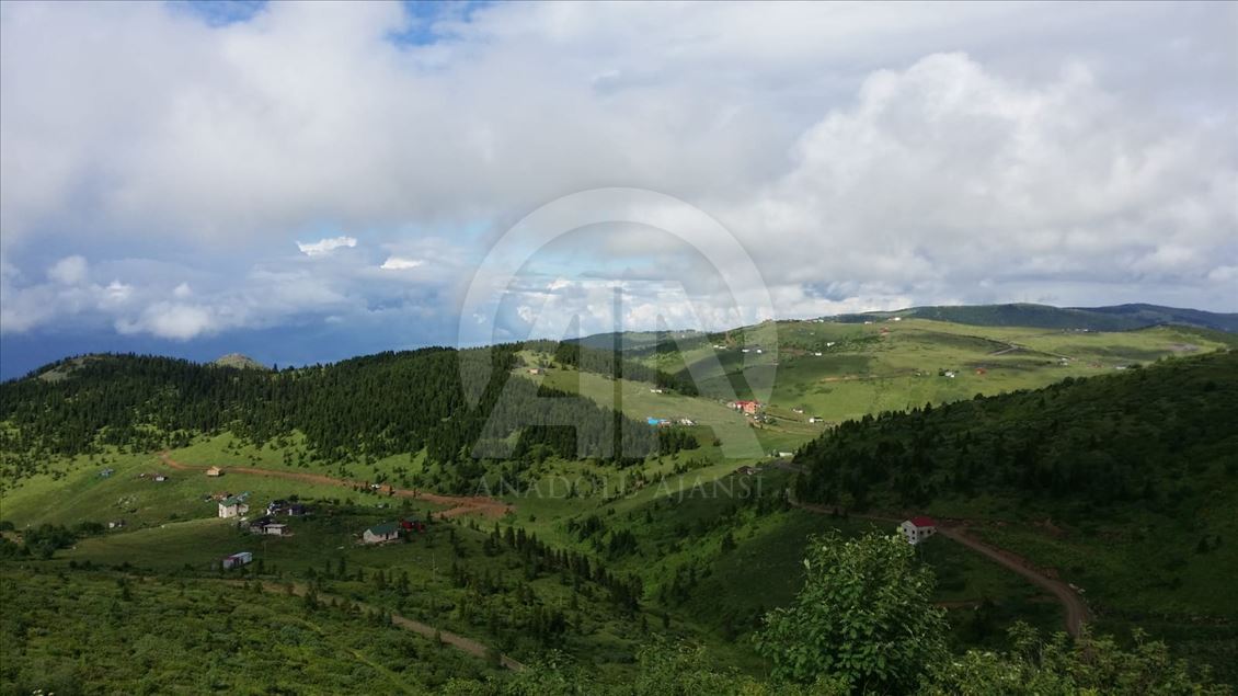 Haçka Yaylası, doğa tutkunlarını ağırlıyor