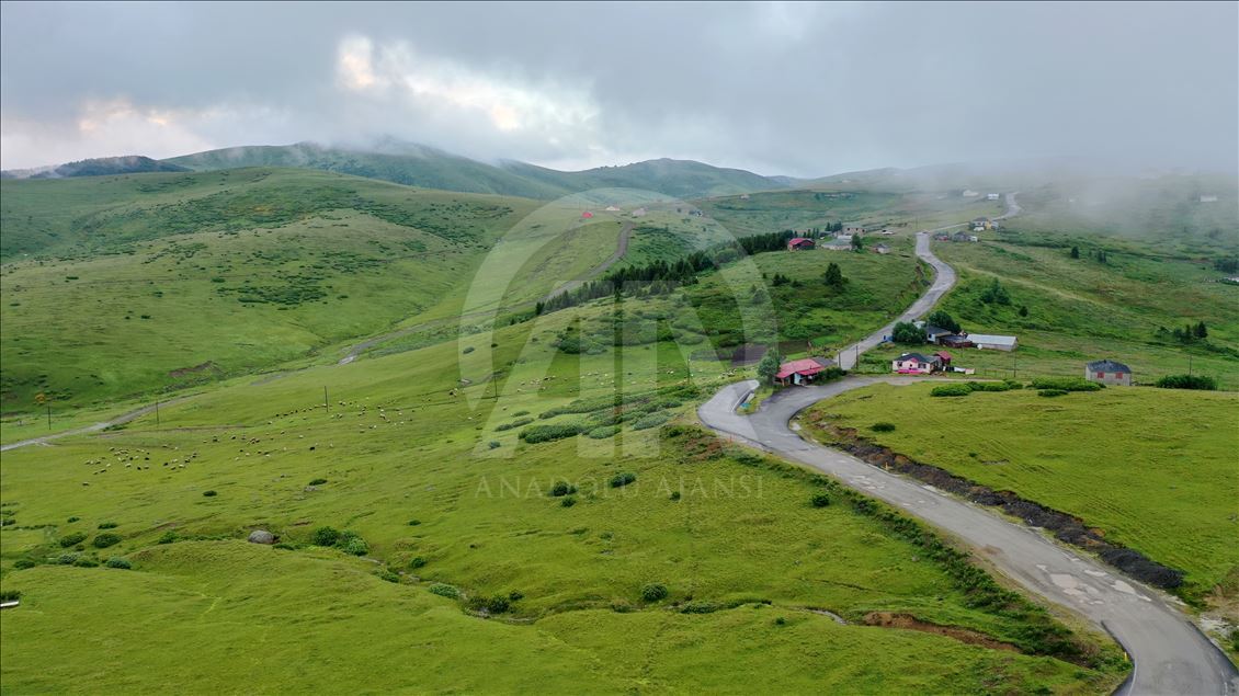Haçka Yaylası, doğa tutkunlarını ağırlıyor