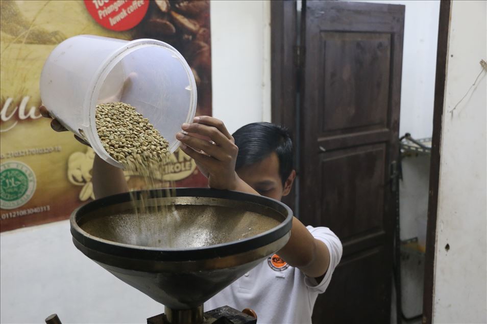 القهوة الأغلى عالميًا تصنع من فضلات قطط الزبّاد