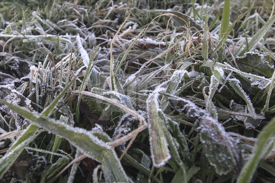 Fenomena embun es di dataran tinggi Dieng