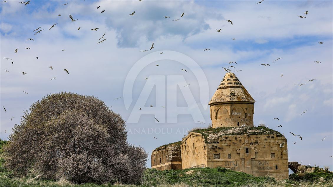  Van Gölü'nün adaları daha 'hassas' korunacak