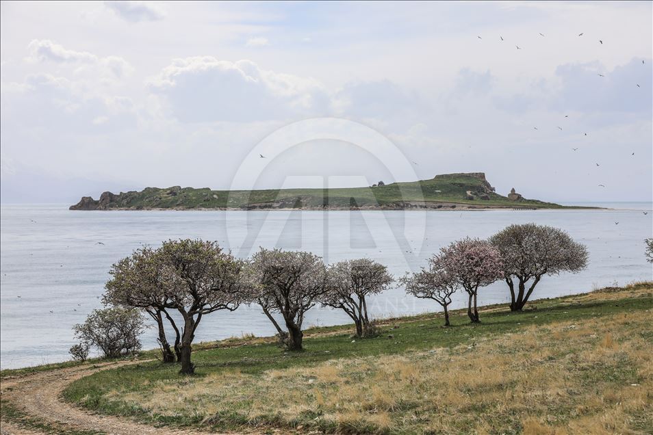 Van Gölü'nün adaları daha "hassas" korunacak