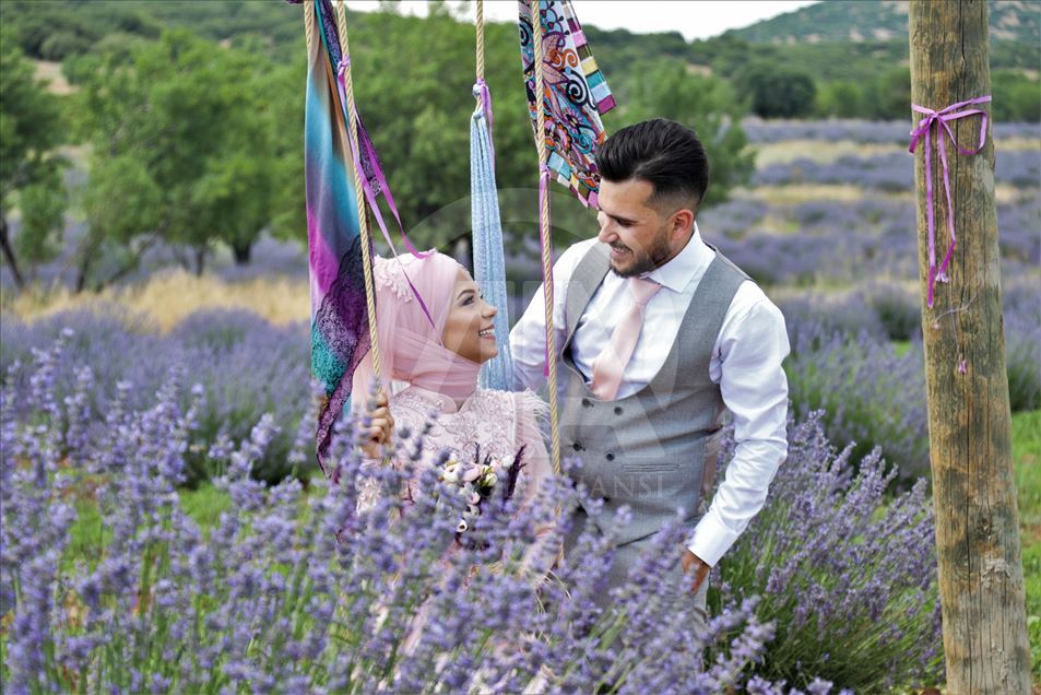 En Isparta, Turquía, comienzan los 'Días de lavanda'