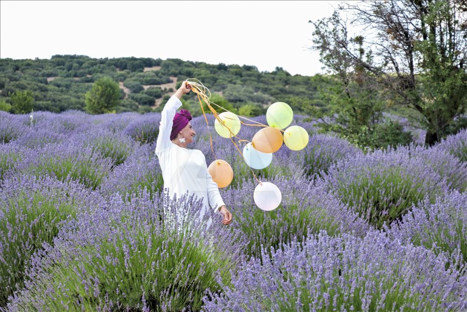 En Isparta, Turquía, comienzan los 'Días de lavanda'
