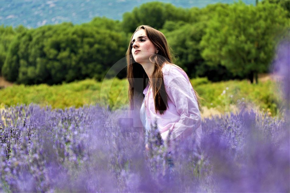 En Isparta, Turquía, comienzan los 'Días de lavanda'