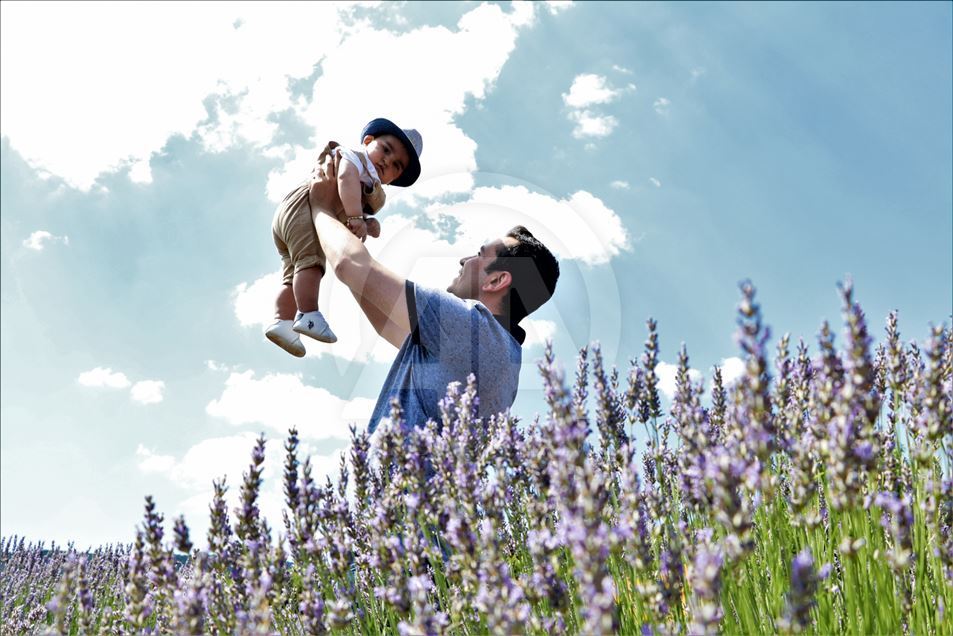 En Isparta, Turquía, comienzan los 'Días de lavanda'