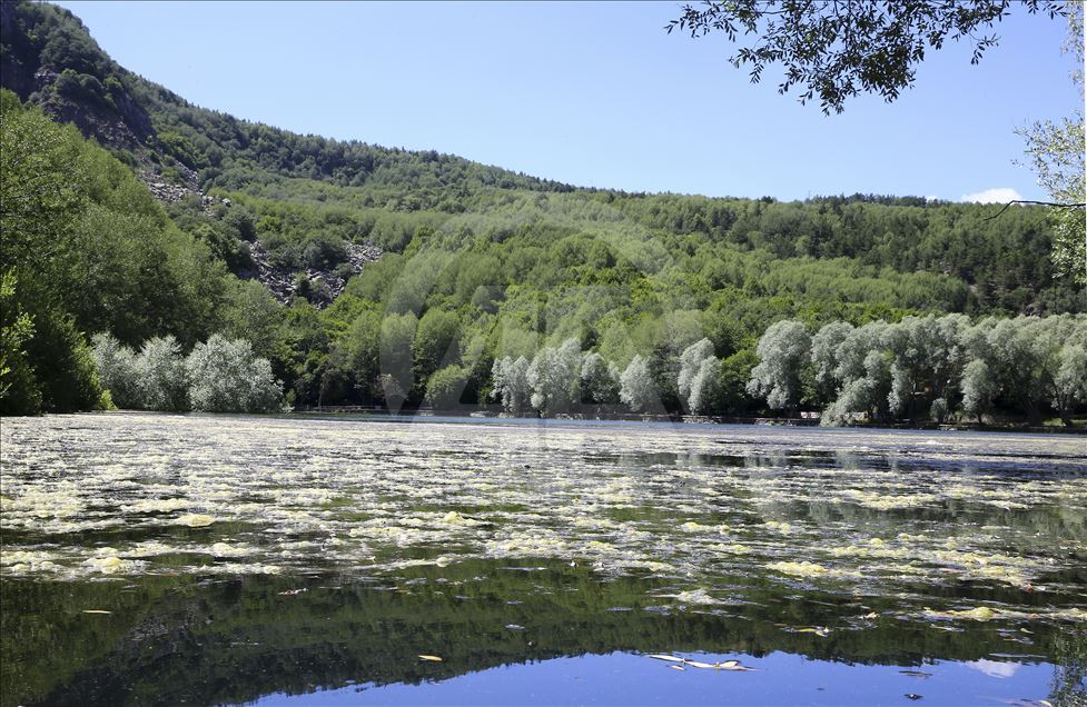 Karagöl Tabiat Parkı