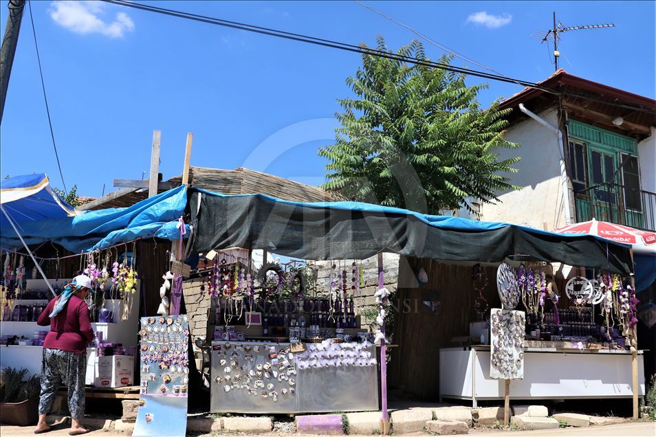 Kuyucaklı kadınların ekmek kapısı "lavanta"